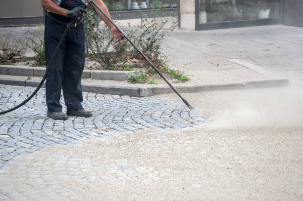 Best Fence Cleaning  in Sangaree, SC