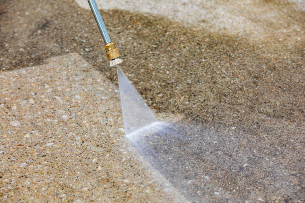 Best Animal Enclosure Cleaning  in Sangaree, SC